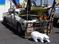 Feral Ute