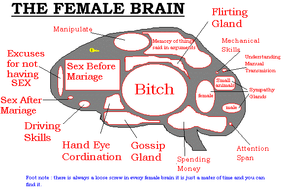 Female Brain