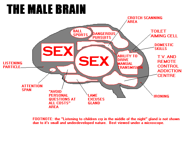 Male Brain