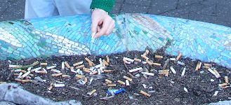 Butts in Giant Ashtray at Bondi Beach, world's biggest ashtray